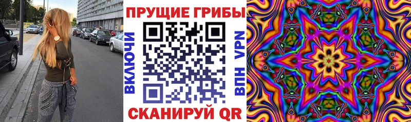 сайты даркнета телеграм  Мамадыш  Псилоцибиновые грибы GOLDEN TEACHER 